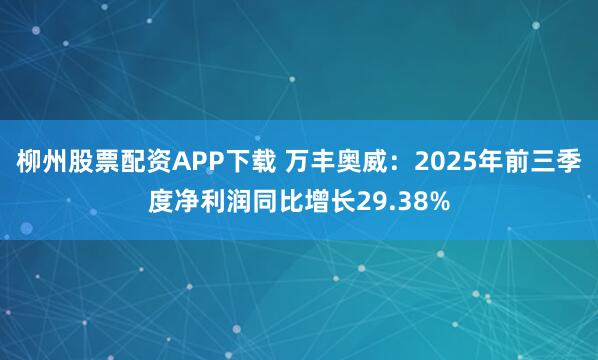 柳州股票配资APP下载 万丰奥威：2025年前三季度净利润同比增长29.38%