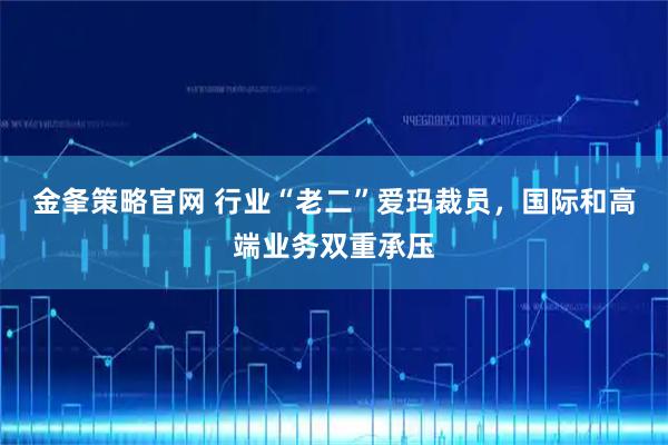 金夆策略官网 行业“老二”爱玛裁员，国际和高端业务双重承压