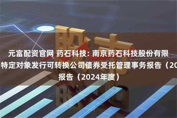 元富配资官网 药石科技: 南京药石科技股份有限公司向不特定对象发行可转换公司债券受托管理事务报告（2024年度）