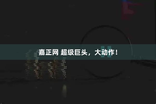 嘉正网 超级巨头，大动作！