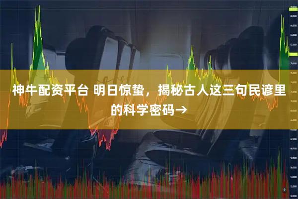 神牛配资平台 明日惊蛰，揭秘古人这三句民谚里的科学密码→